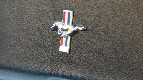 Mustang Pin :pgp