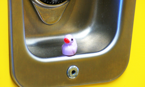 A duck invading a locker