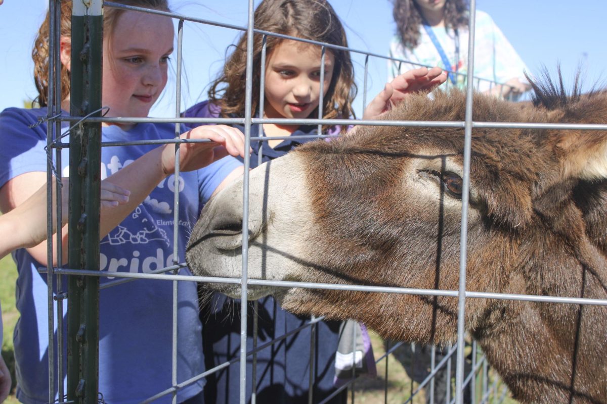 McCollum Elementary kids at southeast petting jerry the donkey 