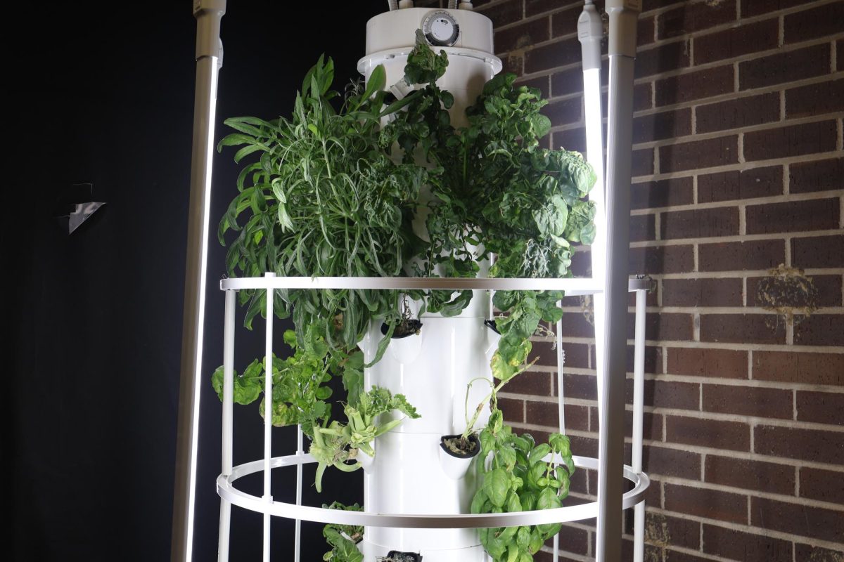 grow tower in one of the many classes at Coleman